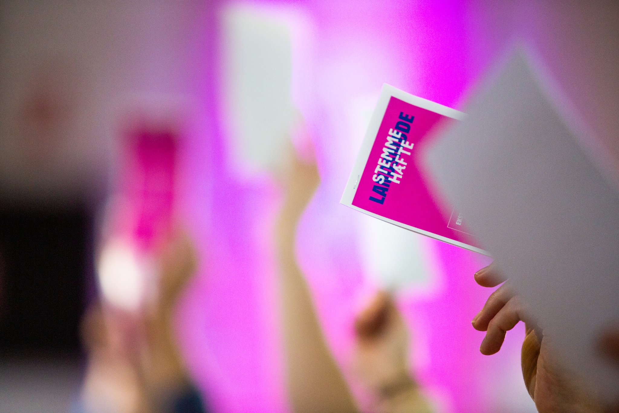 Afstemning om ændringsforslag til det kommende principprogram