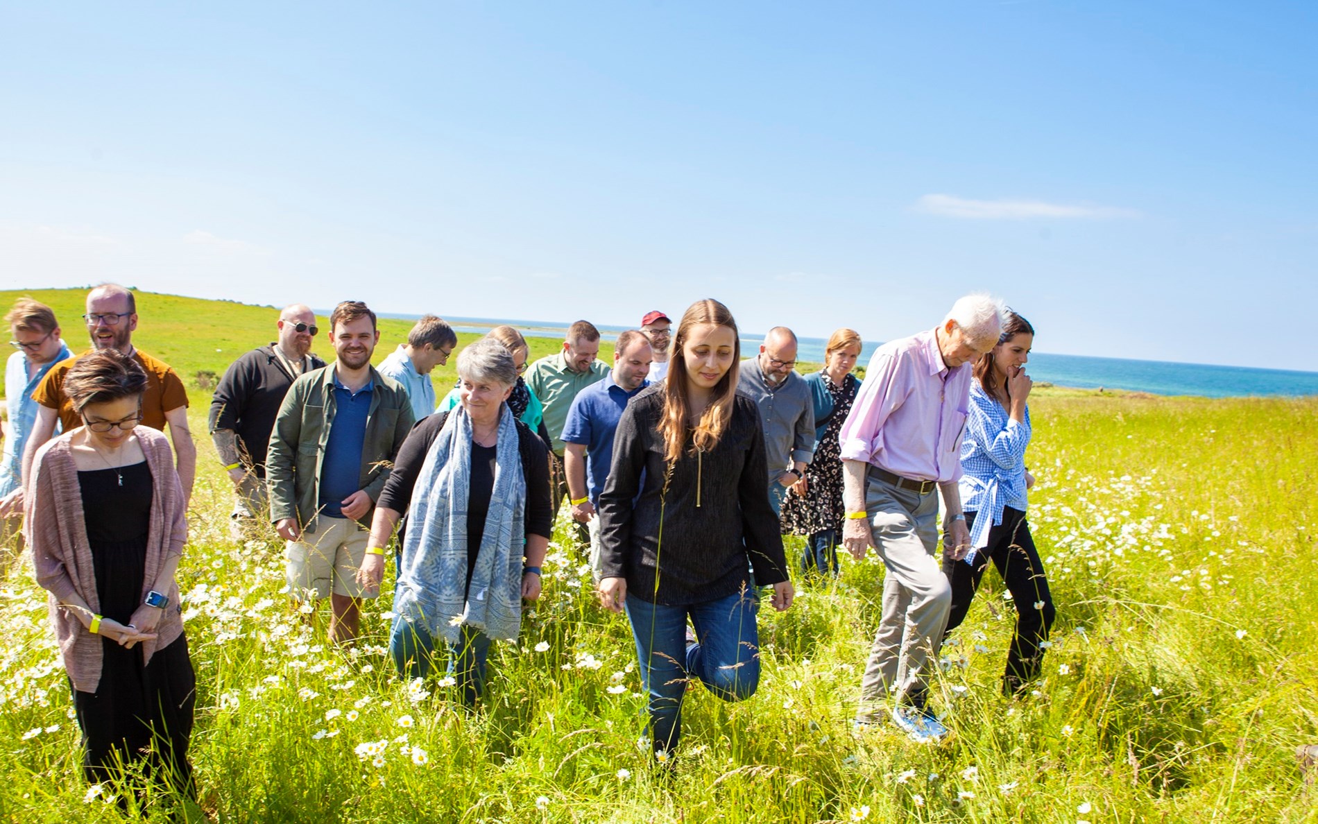 Medlemmerne af Europa Samling i grøn mark